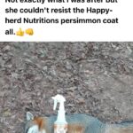 Happy Herd Nutritions, Inc